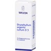 Bryophyllum Argento Cultum D3 Weleda Dil., 50 ml Solution