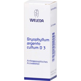 Bryophyllum Argento Cultum D3 Weleda Dil., 50 ml Solution