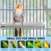 KATUMO Parrot Perch - Stainless Steel African Grey Perch Bird