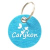 Carykon 8 Pcs Dive Rings Underwater Swimming Pool Toy Rings-5