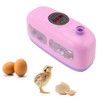 Egg Incubator Manual Turning Mini Train Eggs Hatching Machine with