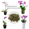 JFWOD 6QT Orchid Potting Mix with Moss Pine Bark Mulch