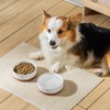 MALACASA Dog Bowls, Ceramic Dog Food and Water Bowls for