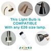 FUNKS UVA UVB Light Bulb for Birds in Captivity 2.4%