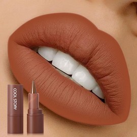 Matte Lip Liner and Lipstick Crayon Shape And Tapered Tip for Perfect Contour and Gradient Effect Waterproof Eyeliner Lip Pencil 3-in-1 Makeup Lip Combo 3#