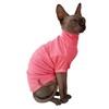 Sphynx Hairless Cats Shirt Cotton Cat Turtleneck Sweater Pullover Kitten