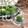 GIFTEXPRESS 18 Pcs Succulent Cactus Candles No Repeat Style, Delicate