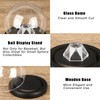 TOLIDA Golf Ball Display Case, Dustproof Golf Ball Racks with