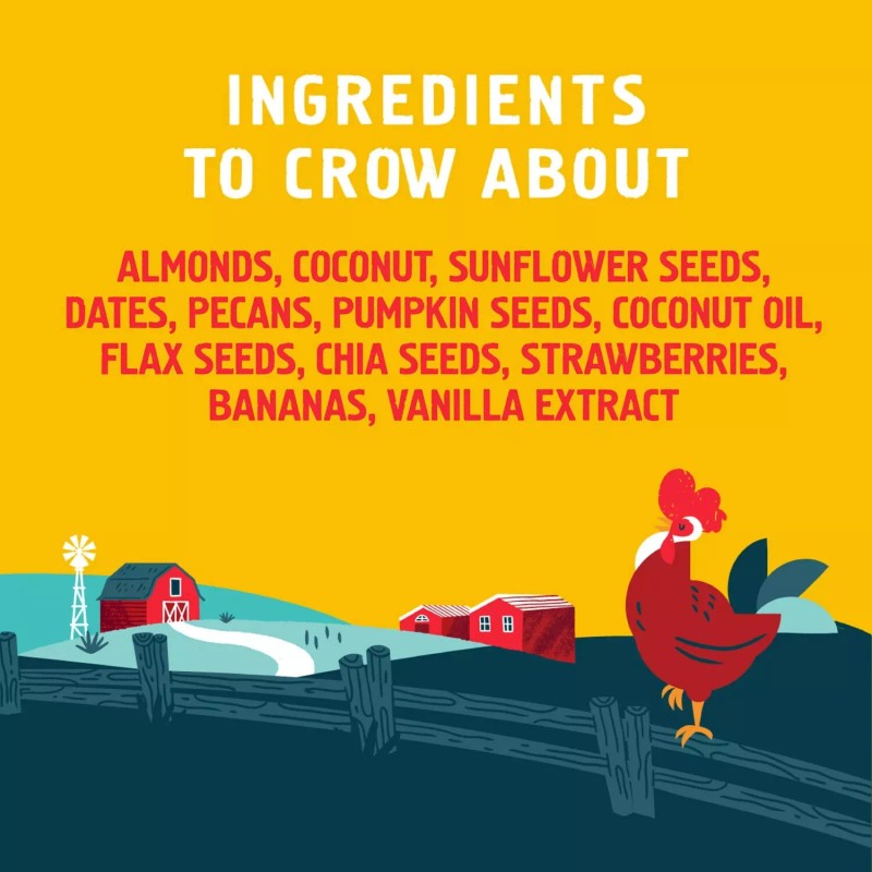 Seven Sundays Keto Rise and Shine Granola Cereal, 20 oz.