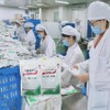 Herbal Tea Ban Lan Gen Herbal Tea 板蓝根 Banlangen Keli