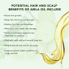 Aceite Amla Orgánico Prensado Frío 100% Puro Cuidado Capilar
