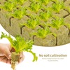 36 pieces hydroponics wool, garden rock wool, rock wool hydroponics,