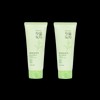 Kwailnara First Water Green Tea Purifying Peel Off Pack 150ml x 2 / 과일나라 첫물녹차 퓨리파잉 필 오프 팩 150ml x 2개
