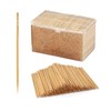 LOCIUN 3000 Count Carbonized Bamboo Single-Point Toothpicks - Sturdy and