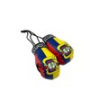 Red Hat Ent Hanging Car Mirror Mini Boxing Gloves (Ecuador)
