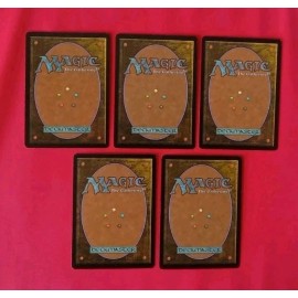 5 Totem - Time Spiral - NM/LP-EX - 1x of each - Collector Set - Magic MTG CCG