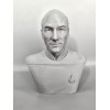 Star Trek The Next Generation Jean Luc Picard 3D Printed