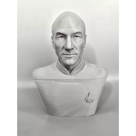 Star Trek The Next Generation Jean Luc Picard 3D Printed Bust 6.75Inches