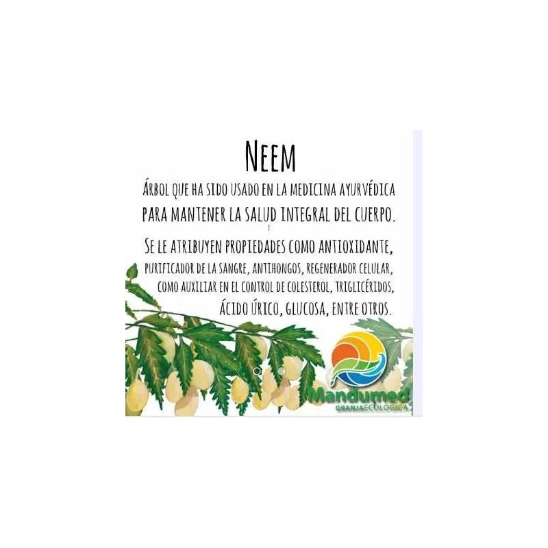 5 Shampoos Neem:caspa,piojos,crecimiento,ceborrea,100%naturl