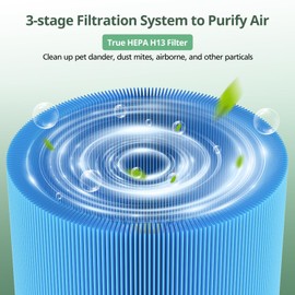 2 Pack 211i Max Replacement Filter Compatible with BLUEAIR Blue Pure 211i Max Air Purifier, Ture HEPA & Activated Carbon Replacement Filter, Blue