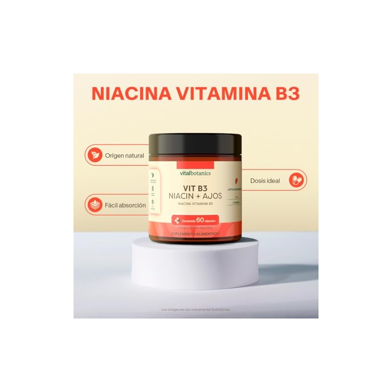 Vital Botanics Niacina Vitamina Ajo Multivitamínico Mujer Hombre Cápsulas Azúcar