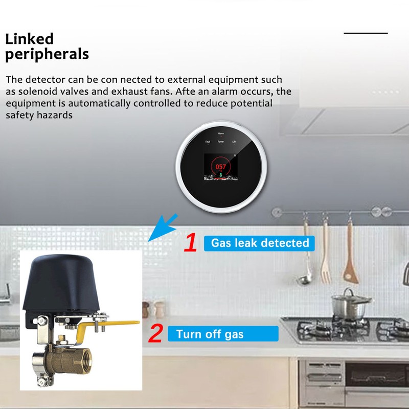 WiFi Combustible Gas Alarm Methane Natural Gas Leakage Detector Sound