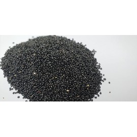 Red Stripe Leaf Amaranth Seeds – Unique, Edible Spinach-Like Salad Green “Chinese Spinach” | Liliana's Garden |