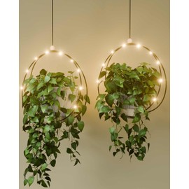 Hanging Planters for Indoor Plants 2 Pack - Macrame Plant Hanger with LED String Lights & Wooden Shelf Base, Boho Wall/Ceiling/Window Decor for Floating Greenery Display