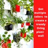 LaLaGreen Wall Planter - 6 Pack, 4 Inch Square Metal
