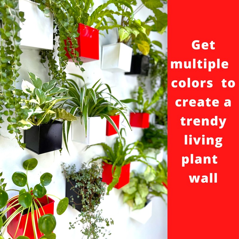 LaLaGreen Wall Planter - 6 Pack, 4 Inch Square Metal