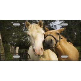 Horses Nuzzling in Corral License Plate