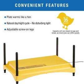 Brinsea Brinsea Ecoglow Safety 1200 Chick or Duckling Brooder, Adjustable Height & Angle Brooder Plate for 35 Chicks, Ideal for Chicken Coops Poultry Heating with Safety Indicator, 18 Watts