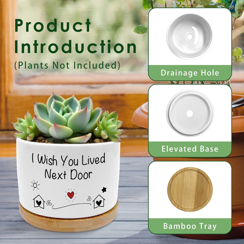 ROXMART I Wish You Lived Next Door Gifts Plant Pots