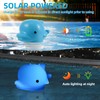 AHJ Solar Dosing Float Pool, 24 cm Dolphin Chlorine Float