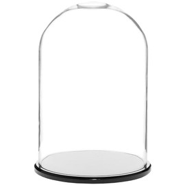Plymor 8" x 12" Glass Display Dome Cloche (Black Acrylic Base)