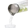 Blomus 63436 Carafe [ACQUA] Silver, Standard