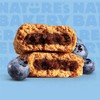 Nature's Bakery Blueberry Fig Bars, 2 Oz, 6 Ct