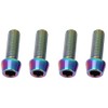 Set of 4 Bicycle Brake Bolts Titanium Alloy M5 x