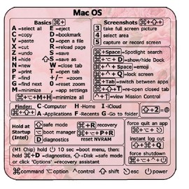 Windows Cheat Sheet Reference Guide, Programming Keyboard Sticker Works with Laptop and Desktop, Pink with Rose Patterned, Home, Office, School, Vinyl, 1PC (Mac Rose)