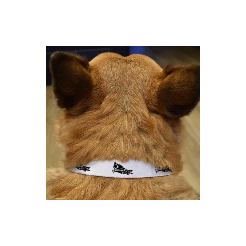 Small 'German Shepherd Sitting Side View' Dog Collar (PR00062647)