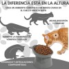 Comedero Elevado Para Perro Y Gato Plato Elevado Ergonómico Color
