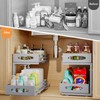 Under Sink Organizer, 2 Tier Under Sink Organizers and Storage,