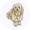 24 x 40mm Round 'Cavapoo' Stickers (SK00044416)