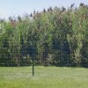 Everbilt 1-3/4 in. x 3-1/2 in. x 6 ft. Green
