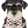 KAWAMOUSE Adjustable Pre-tied bow tie for Men (Red Lips Teeth
