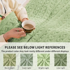 FY FIBER HOUSE Fleece Throw Blankets with 3D Pattern – Warm Super Soft Fluffy Cozy Decorative Blanket for Bed,Couch,Sofa,Camping,Travel(60"x80",Sage Green)