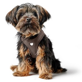 HUNTER Love Dog Harness Brown Soft Cowhide Breathable Mesh Padding Heart Hand Stitched High Comfort Made in Germany Size: XXS-XS