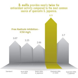 Time Health Quercetin Capsules - Naturally Derived - Maximum Antioxidant Action - UK Made - Free from Synthetic Additives - Vegan - Pullulan (120 Capsule Pouch)