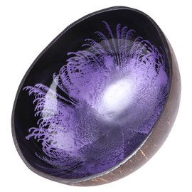 KESYOO Coconut Bowls Natural Coconut Shell Storage Bowl Nuts Candy Storage Holder Serving Bowls Buddha Acai Bowl for Kitchen Purple