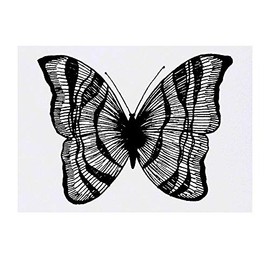 'Stripy Butterfly' Temporary Tattoo - Water Resistant, Skin-Safe, Non-Toxic Transfer (TO00028333)